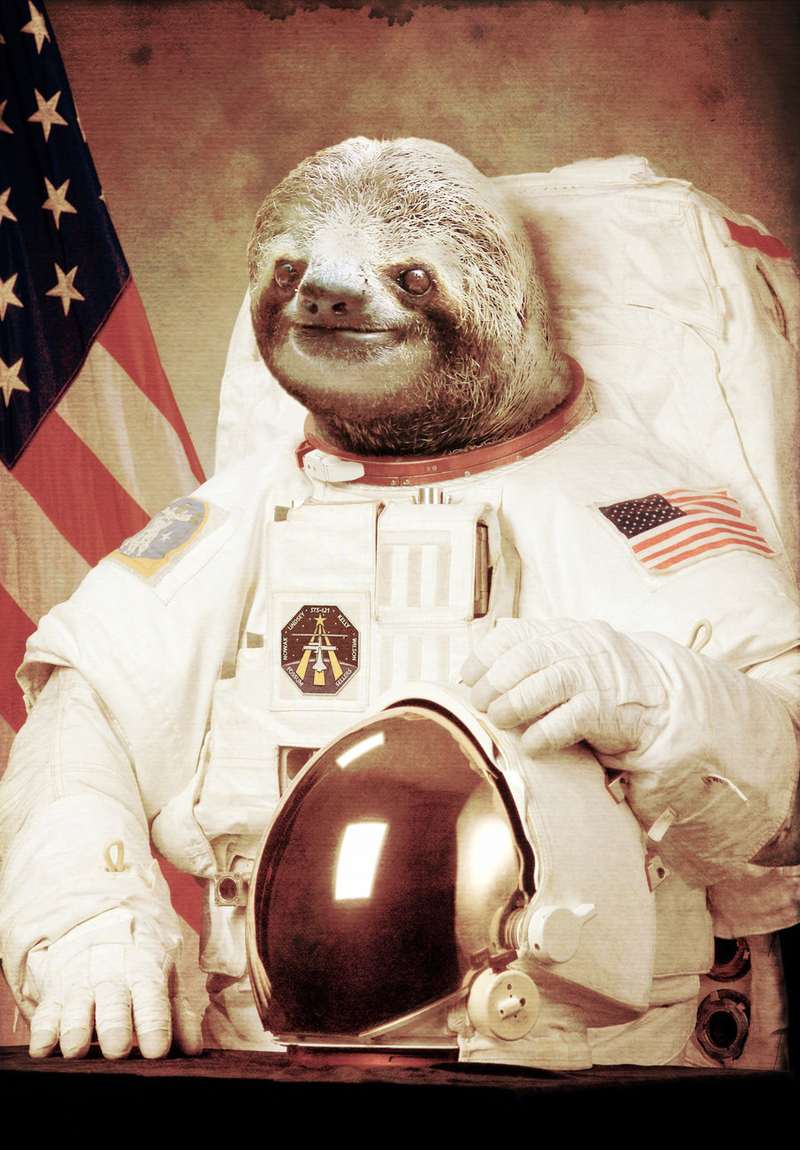 Illustration for article titled A Month on the Space Subsite